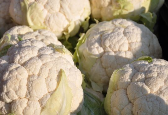 Wie lange muss Blumenkohl kochen?