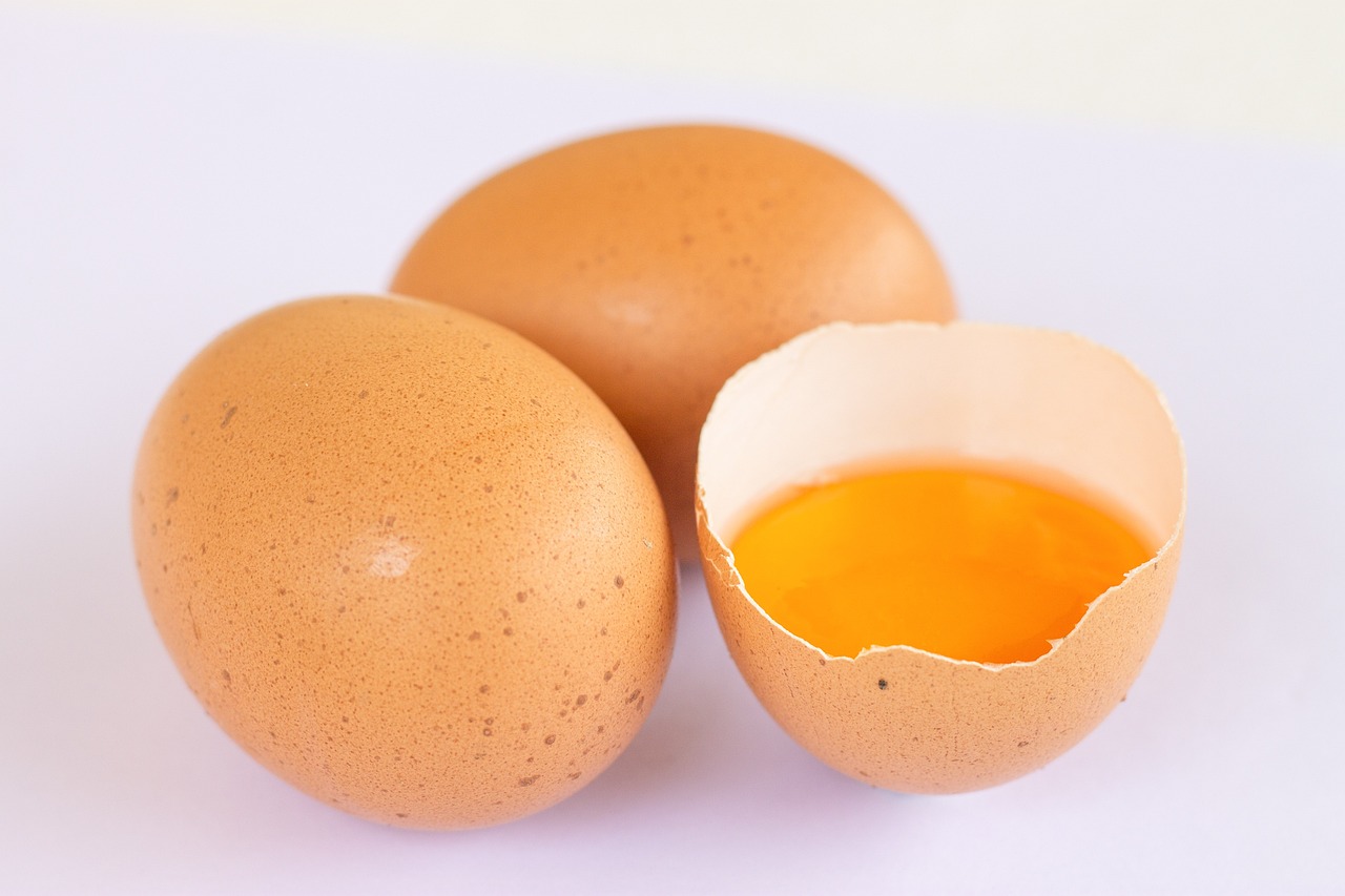 Proteinreiche Ernährung mit Eiern