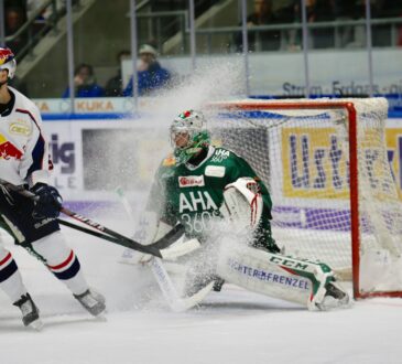 Eishockey